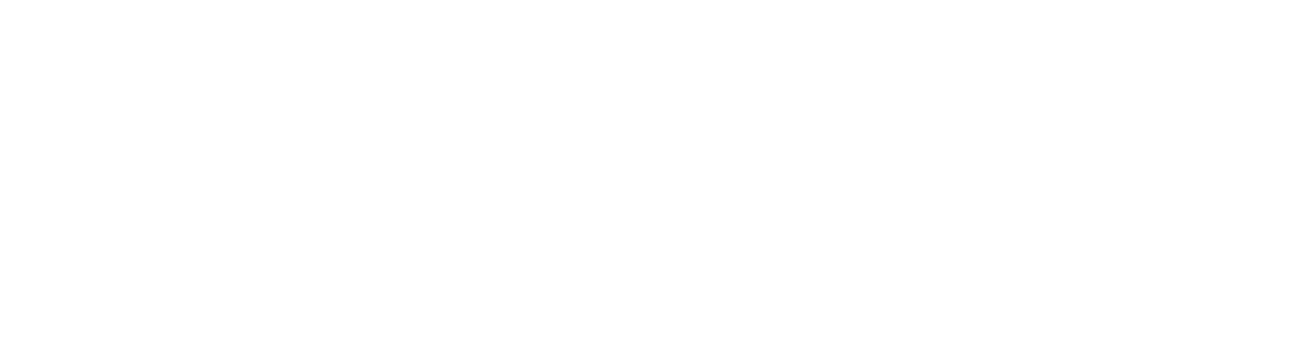 Procountor partner (white)